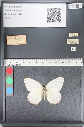 Media type: image;   Entomology 130114